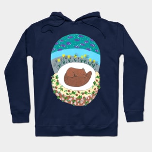 Bear Under The Stars Hoodie